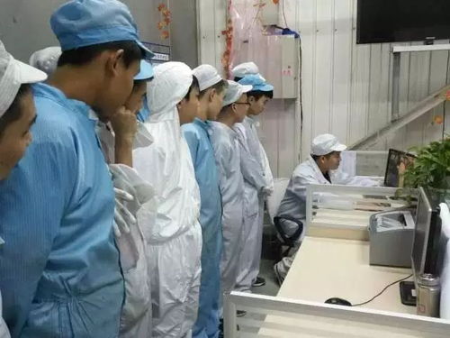 涂装检验技能知识培训与特种作业人员安全技术培训